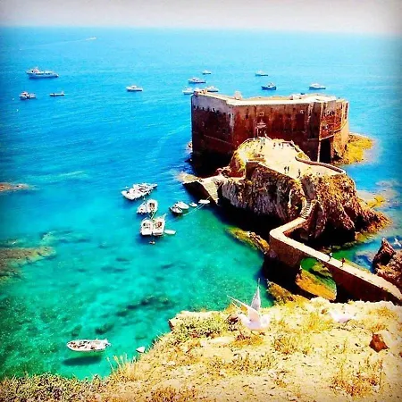 Comfortable In With Garden And Shared Pool Apartment Pataias