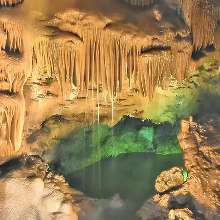 Comfortable In With Garden And Shared Pool Apartment Pataias